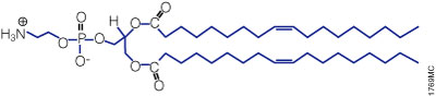 Structure of the neutral lipid DOPE.