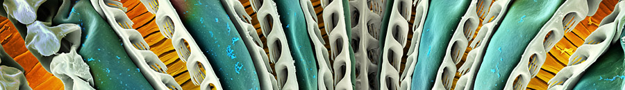 catalogHomeBanner