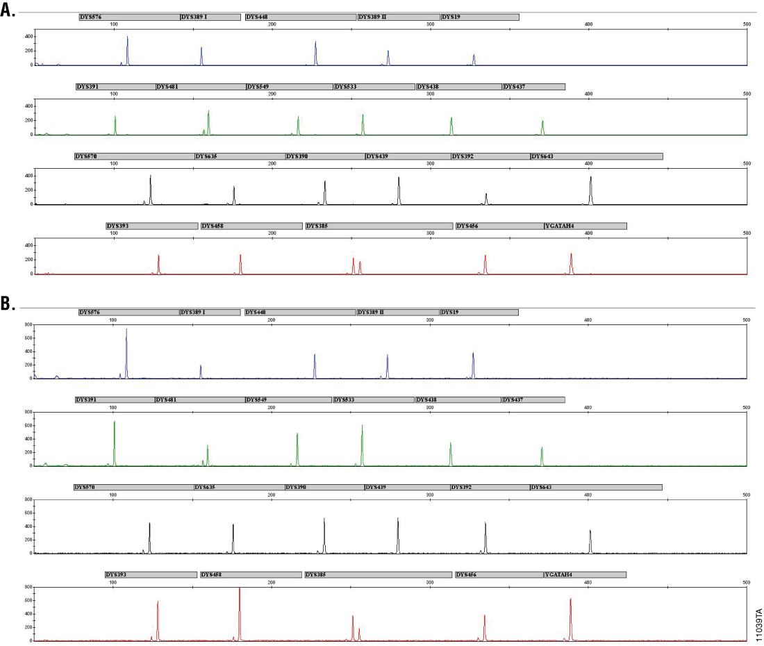 11039TA_1100px