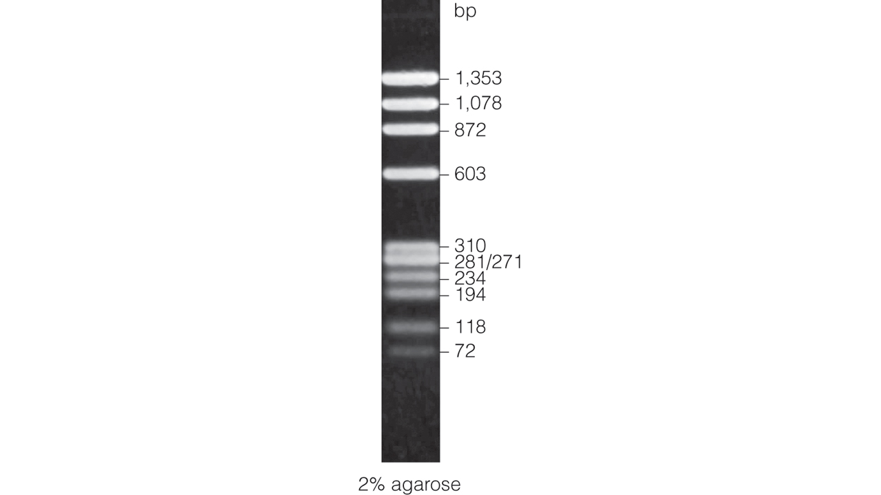 PhiX174 DNA/HaeIII Markers