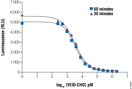 Determination of IC50 values with the Caspase-Glo 6 Assay.