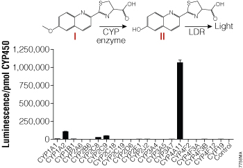 CYP enzyme selectivity for the Luciferin-4A substrate.