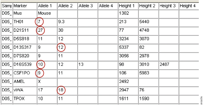 StemElite ID genotype for hESC contaminated with a second human cell line. 