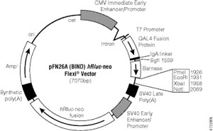 8172MA_300px