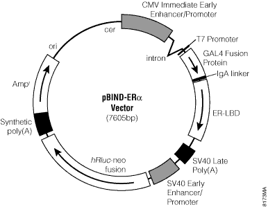 pBIND-ER-alpha Vector. 
