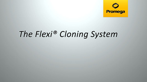Flexi Cloning System Animation