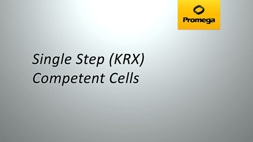 Single Step KRX Competent Cells
