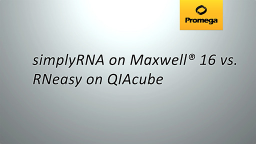 Maxwell versus Cube