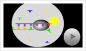 Introduction to Plexor Systems Animation Thumbnail