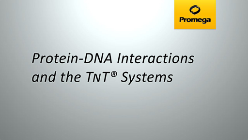 Protein DNA Interactions and the TNT Systems