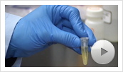 PureYield Miniprep System Video Thumbnail