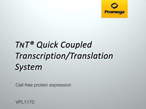 T<span class="smallCaps">N</span>T® Quick Coupled Transcription/Translation Systems