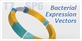 Bacterial Expression Vectors