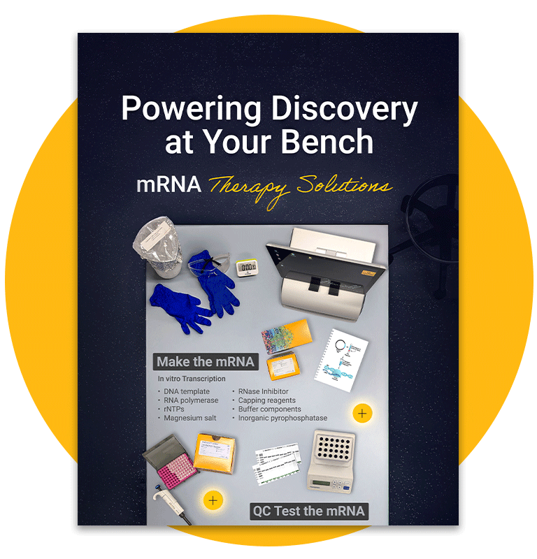 mrna-infographic-responsive