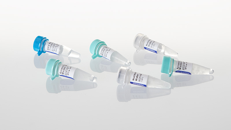 AccessQuick RT-PCR System 100 reactions