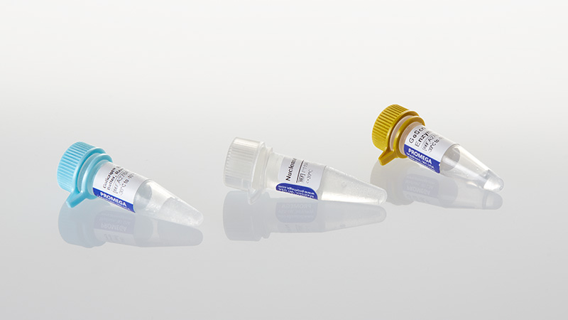 A2800-goscript-reverse-transcription-mix-random-primers