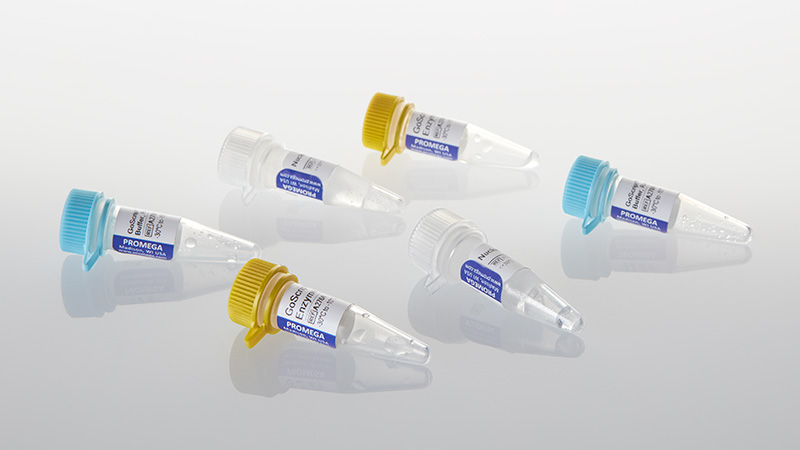 A2801-goscript-reverse-transcription-mix-random-primers
