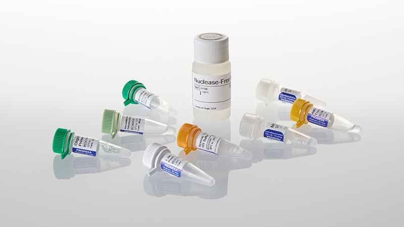 Reverse Transcription System 100 reactions