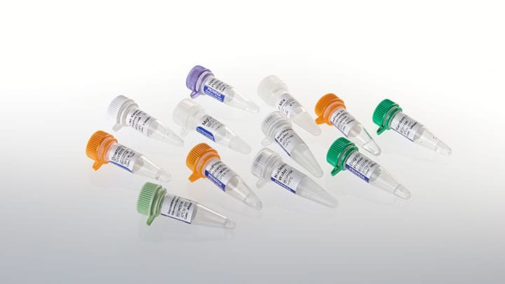 ImProm II Reverse Transcription System 100 reactions