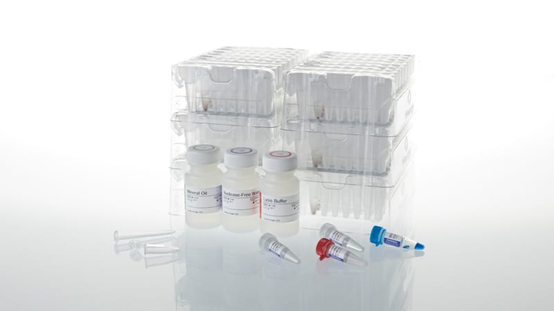 Maxwell CSC DNA FFPE Kit 48 preps