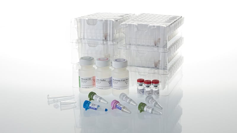 AS1360-maxwell-csc-rna-ffpe-kit