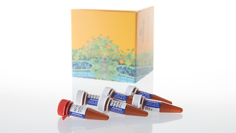 B1930_GenePrint--5C-Matrix-Standard