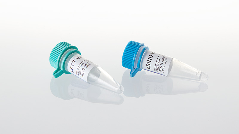 C9380_CheckMate--Negative-Control-Vectors_3