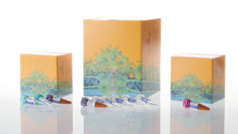 DC1711_PowerPlex--ESX-17-Fast-System--100rxn