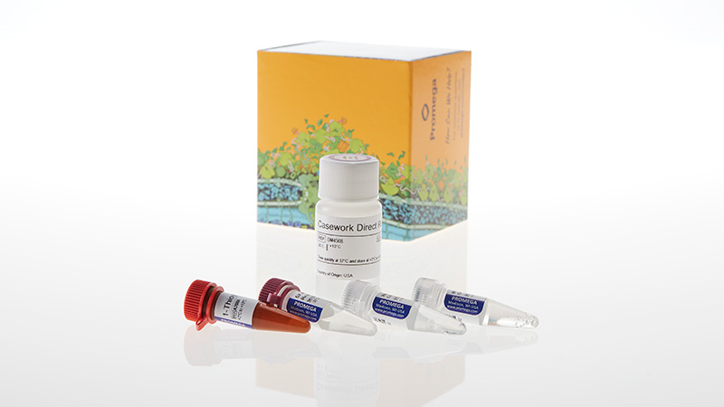 DC4561_Casework-Direct-System_3