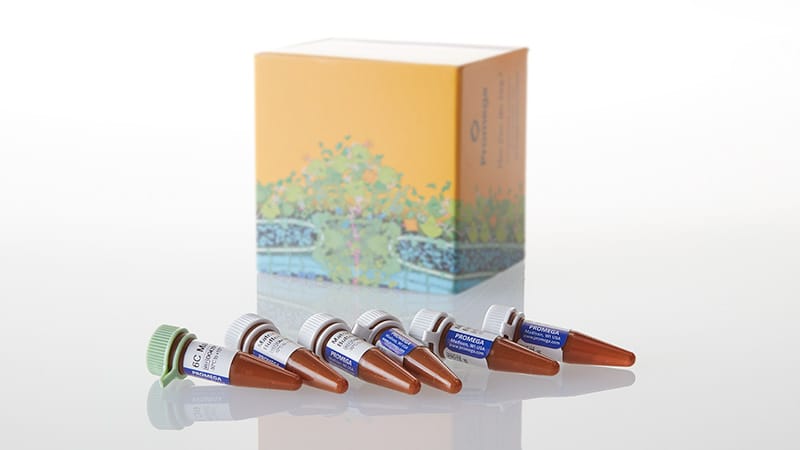 dg4960-versaplex-6c-matrix-standard-3