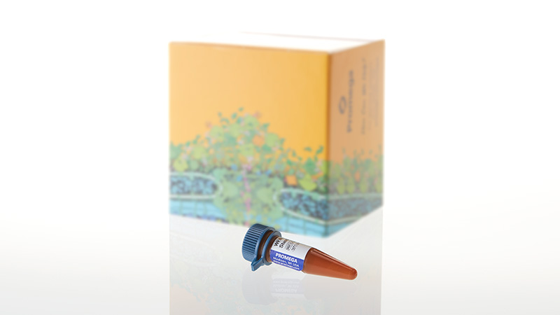 DG5001_WEN-Internal-Lane-Standard-500--200ul_3