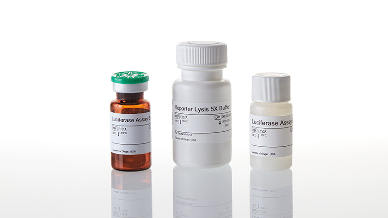 E4030_Luciferase-Assay-System-with-Reporter-Ly_3