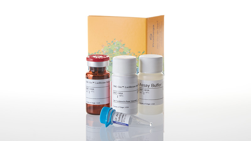 E7110_ONE-Glo----Tox-Luciferase---Cell-Viab_3
