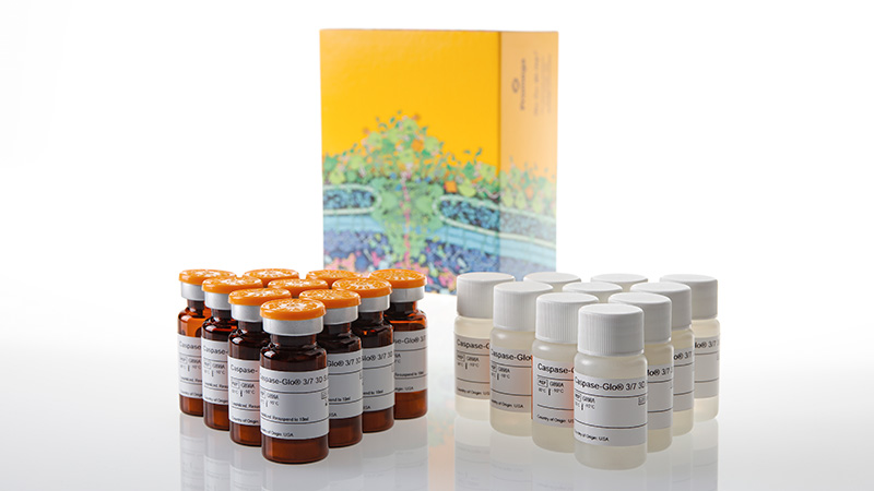 G8983_Caspase-Glo-3-7-3D_3