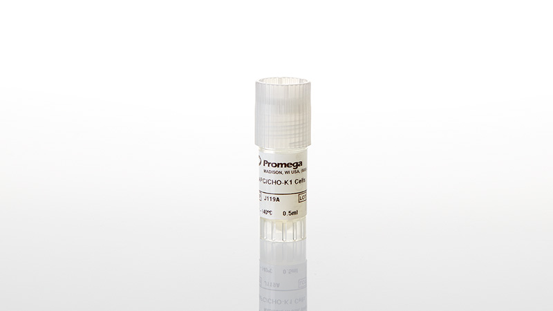 j1191-pdl1-negative-cells-for-blockade-bioassay