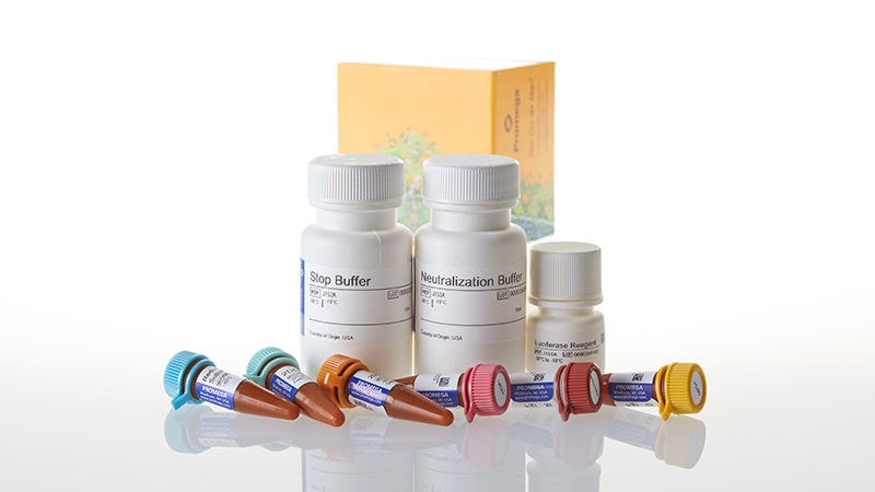 J1341_Glucose-Uptake-Glo-Assay-5ml-3