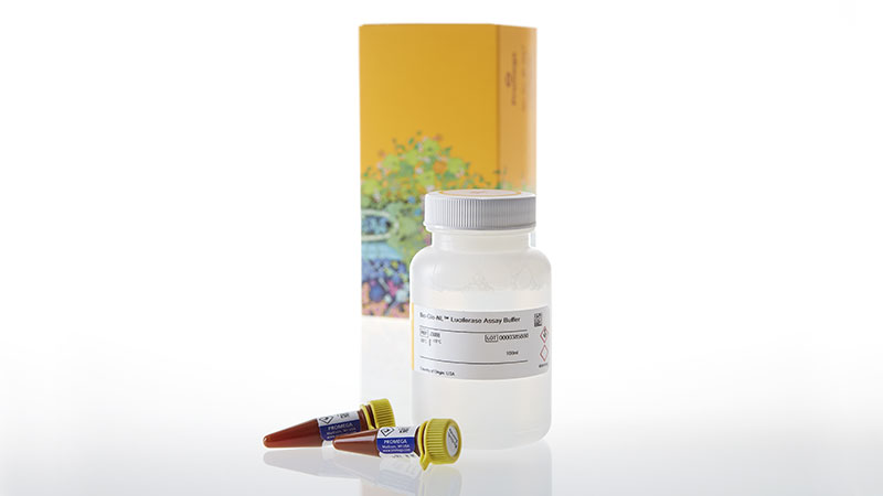 J3082_Bio-Glo-NL--Luciferase-Assay-System--100ml_3