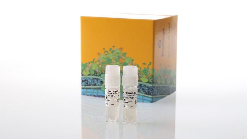 j3342membranevegftargetcellspropagationmodel3