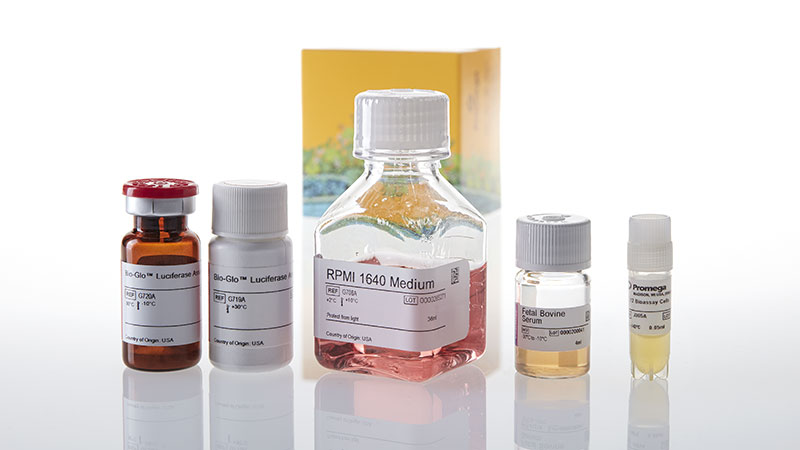 JA2601_IL-12-Bioassay_3