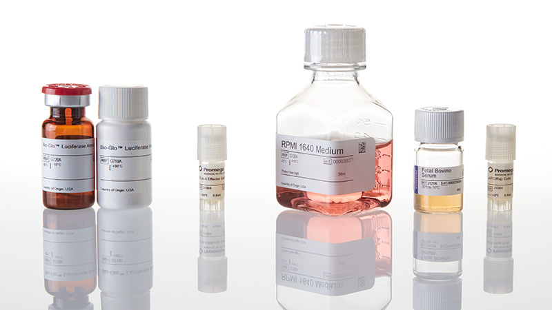 JA3001_CTLA-4-Blockade-Bioassay_3