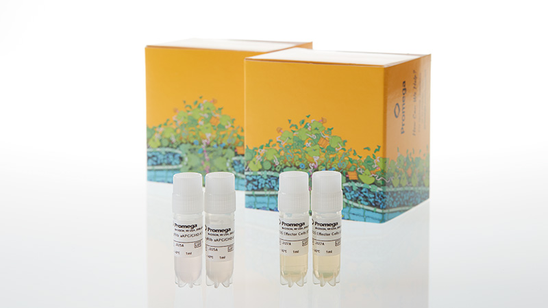 JA3072_ICOS-Bioassay--Propagation-Model_3