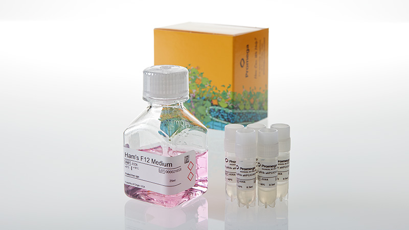 JA9335_Fc-RIIb-aAPC-CHO-K1-Cells-5X_3