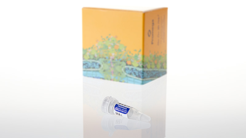 L4581_Magnesium Acetate_3