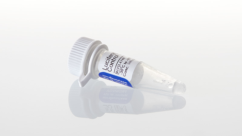 L4741_Luciferase-SP6-Control-DNA--20ug_3