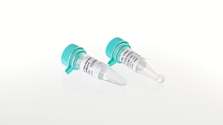 M7741-pfu-dna-polymerase