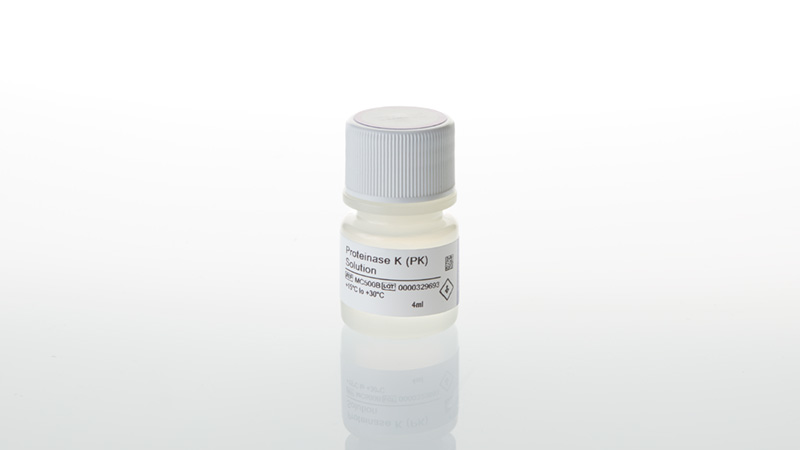 MC5005-proteinase-k-pk-solution