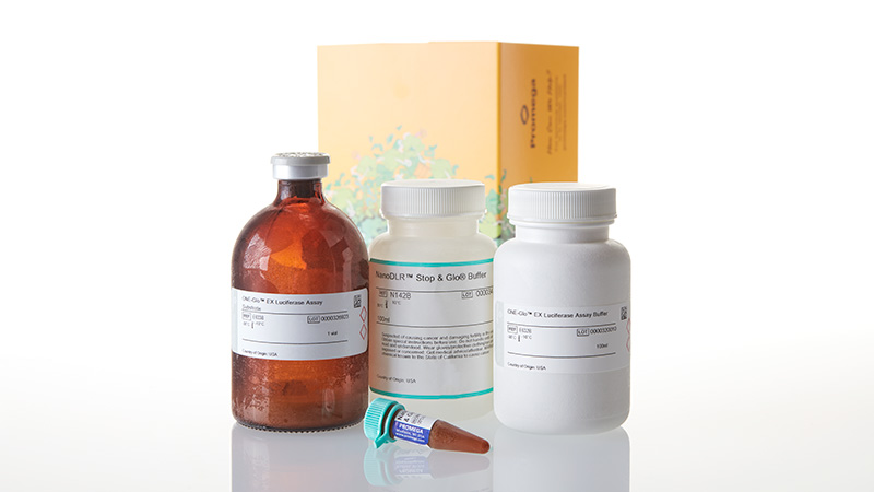 N1620_Nano-Glo--Dual-Luciferase--Reporter-Assa_3