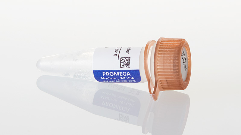 N2361_pBiT3-1-N--CMV-3aHiBiT-3aBlast--Vector_3