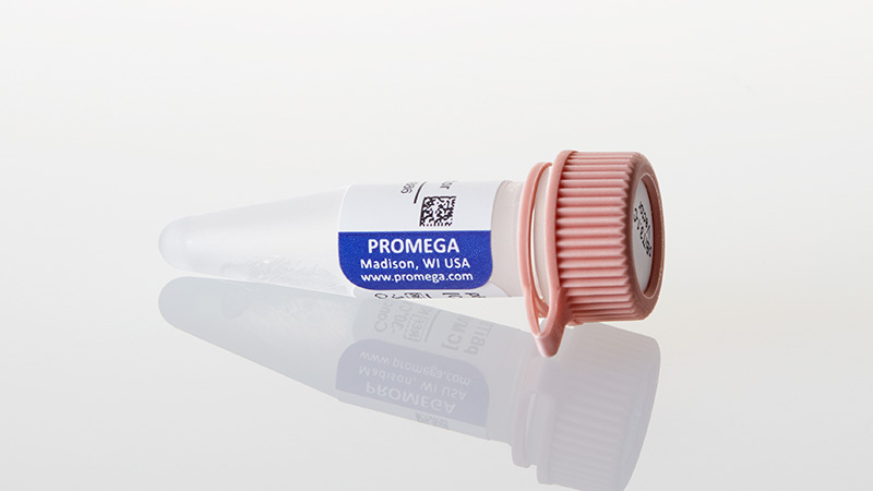 N2371_pBiT3-1-C--CMV-3aHiBiT-3aBlast--Vector_3