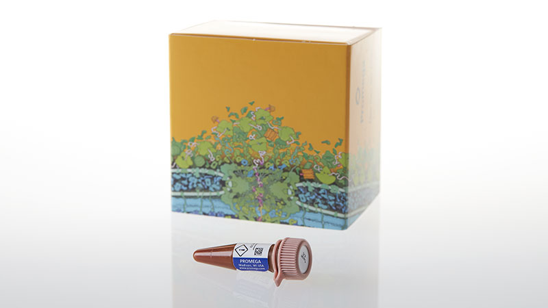 N2492_NanoBRETTM-Tracer-K-4--300ul_3